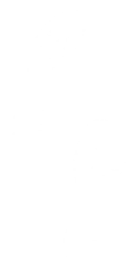Footprints